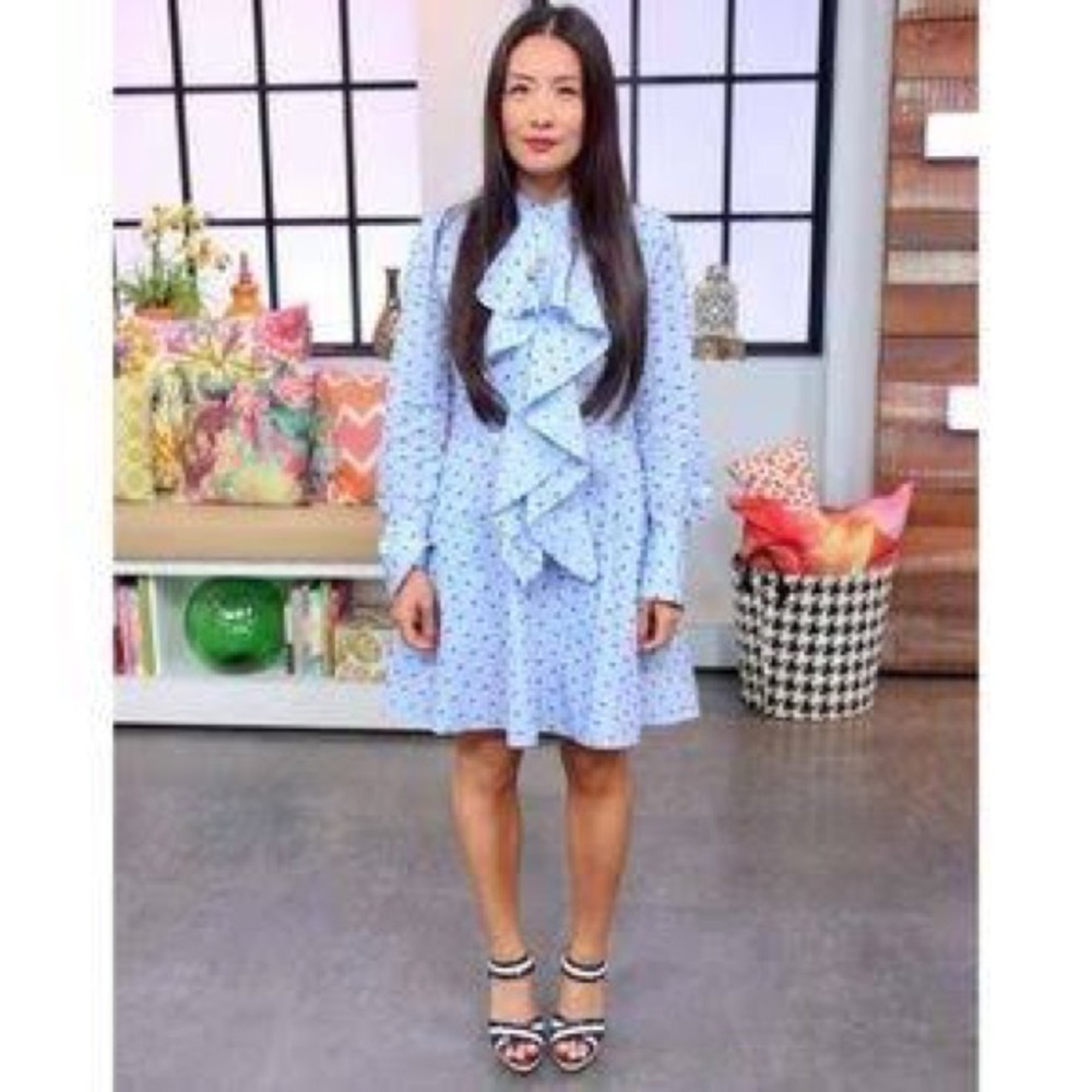 BCBG Max Azria Chelsea dress NWT L